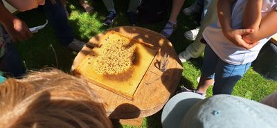 20260618_131004.jpg